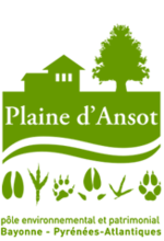 Plaine d'Ansot et Muséum d'histoire naturelle