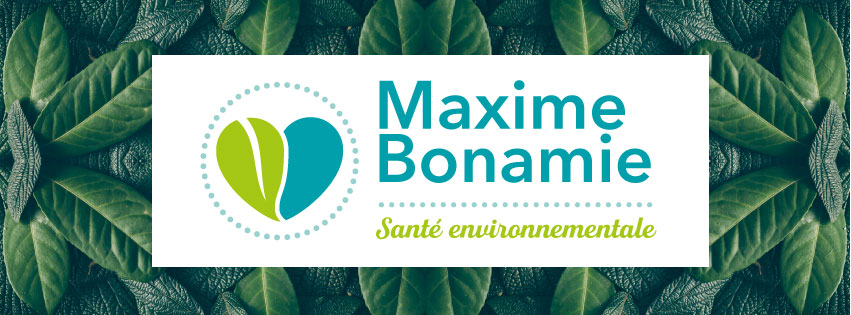 Maxime BONAMIE, animateur - consultant en Santé Environnementale