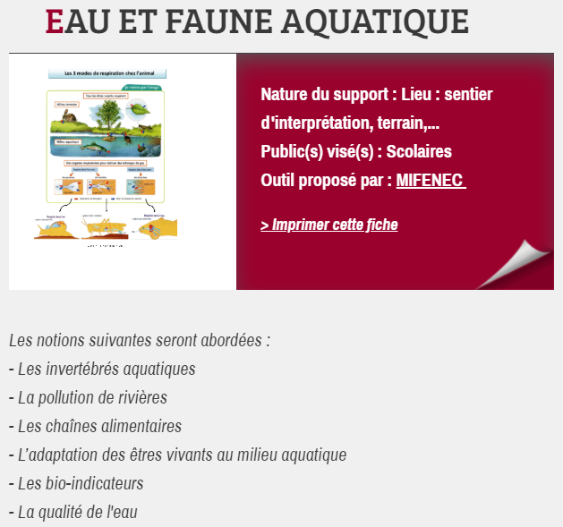 EAU ET FAUNE AQUATIQUE, proposé par MIFENEC