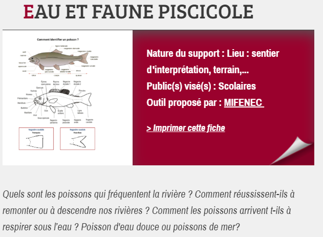 EAU ET FAUNE PISCICOLE, proposé par MIFENEC